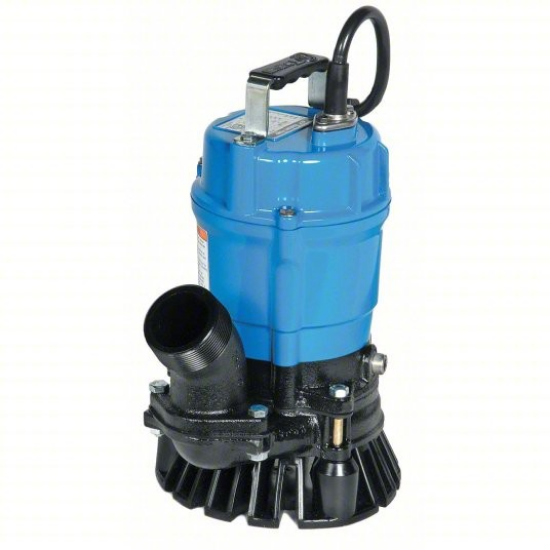 Picture of Pool Pump, Sub 2", Electric